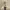 A Softer Reality Available From 27 August 2026 (148)