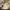 A Softer Reality Available From 27 August 2026 (56)