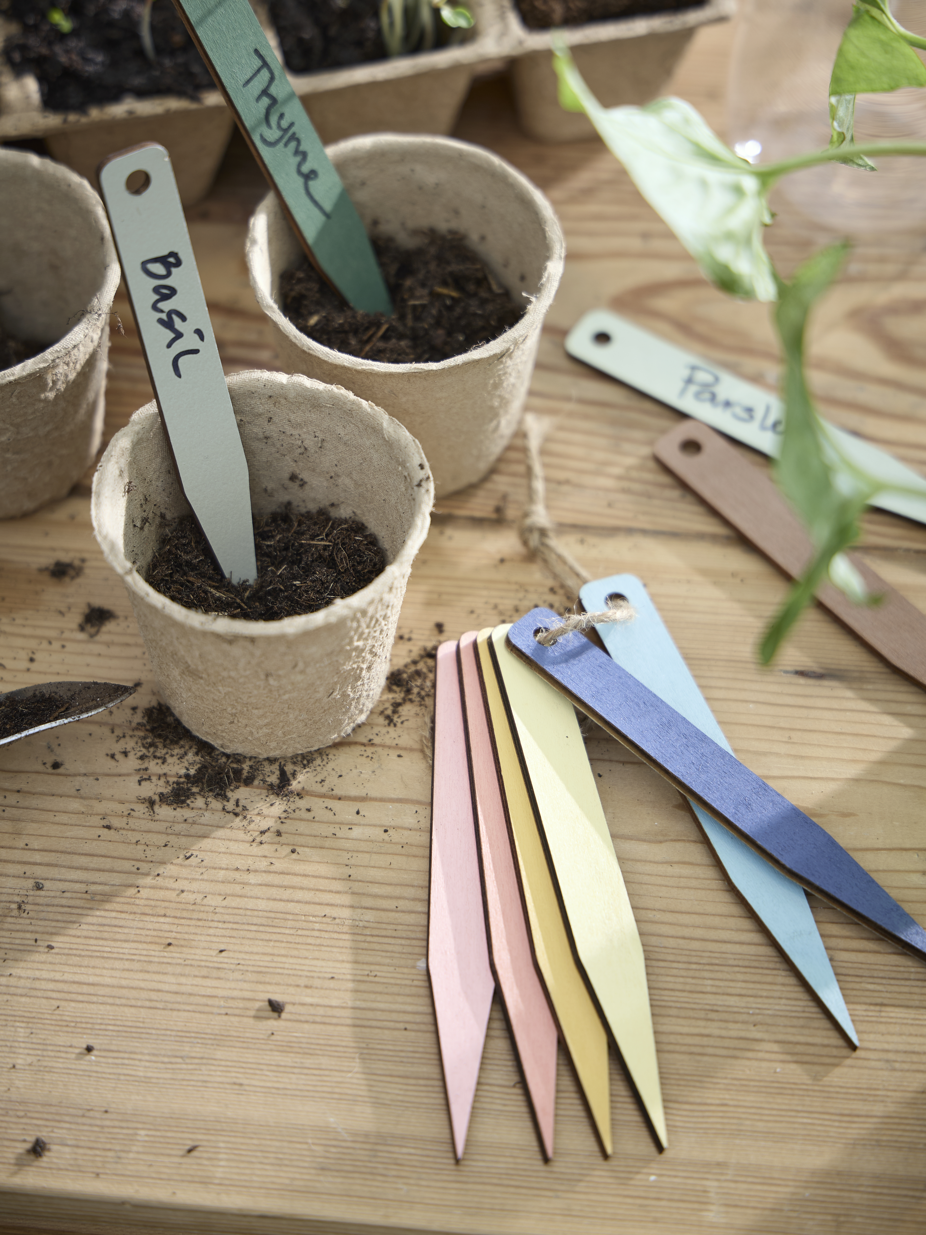 Spring Preparations Sostrene Grene Available From 5 March 2026 (20)