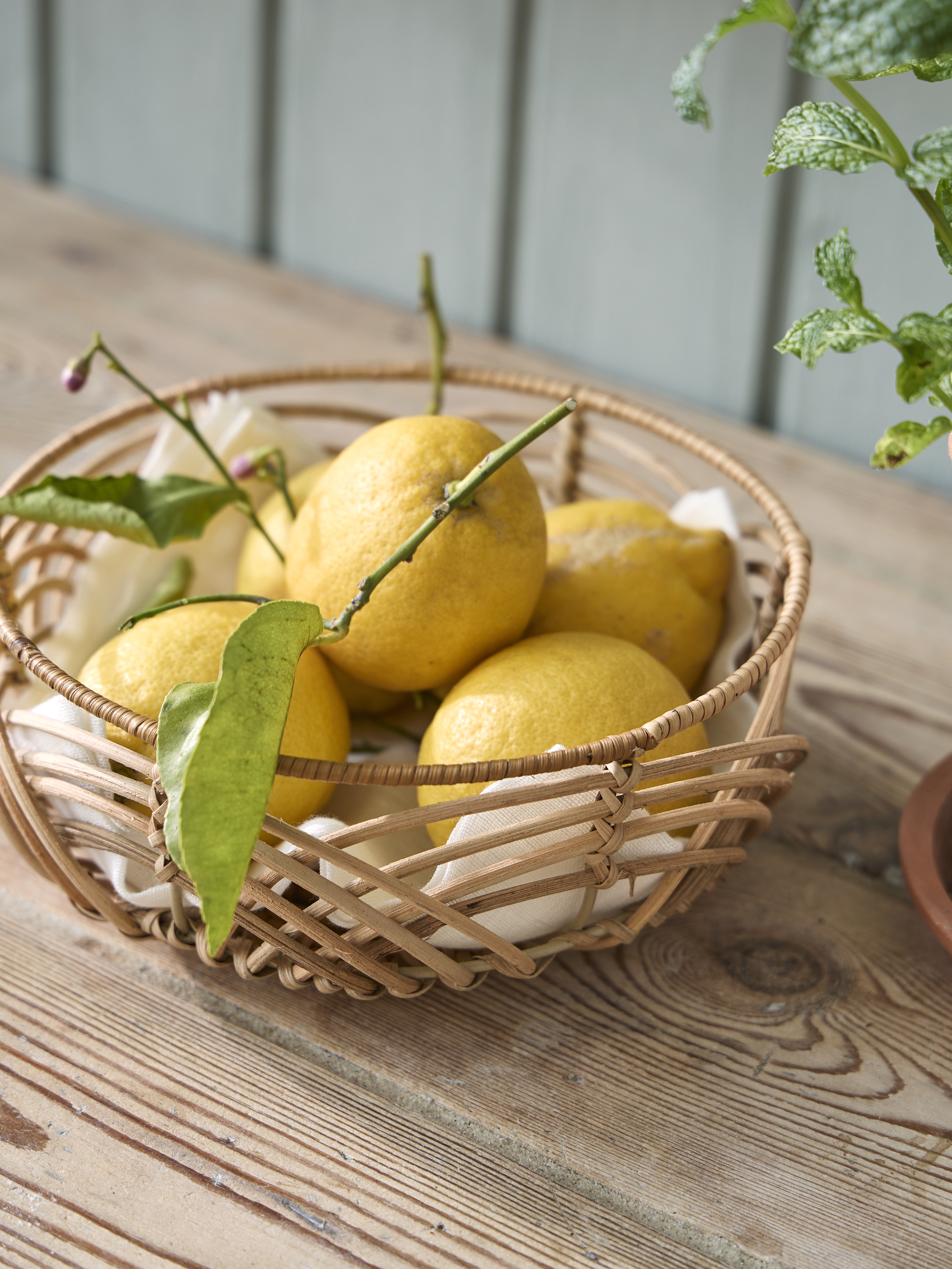 Cosy Summer Picnics Sostrene Grene Available From 30 April (6)