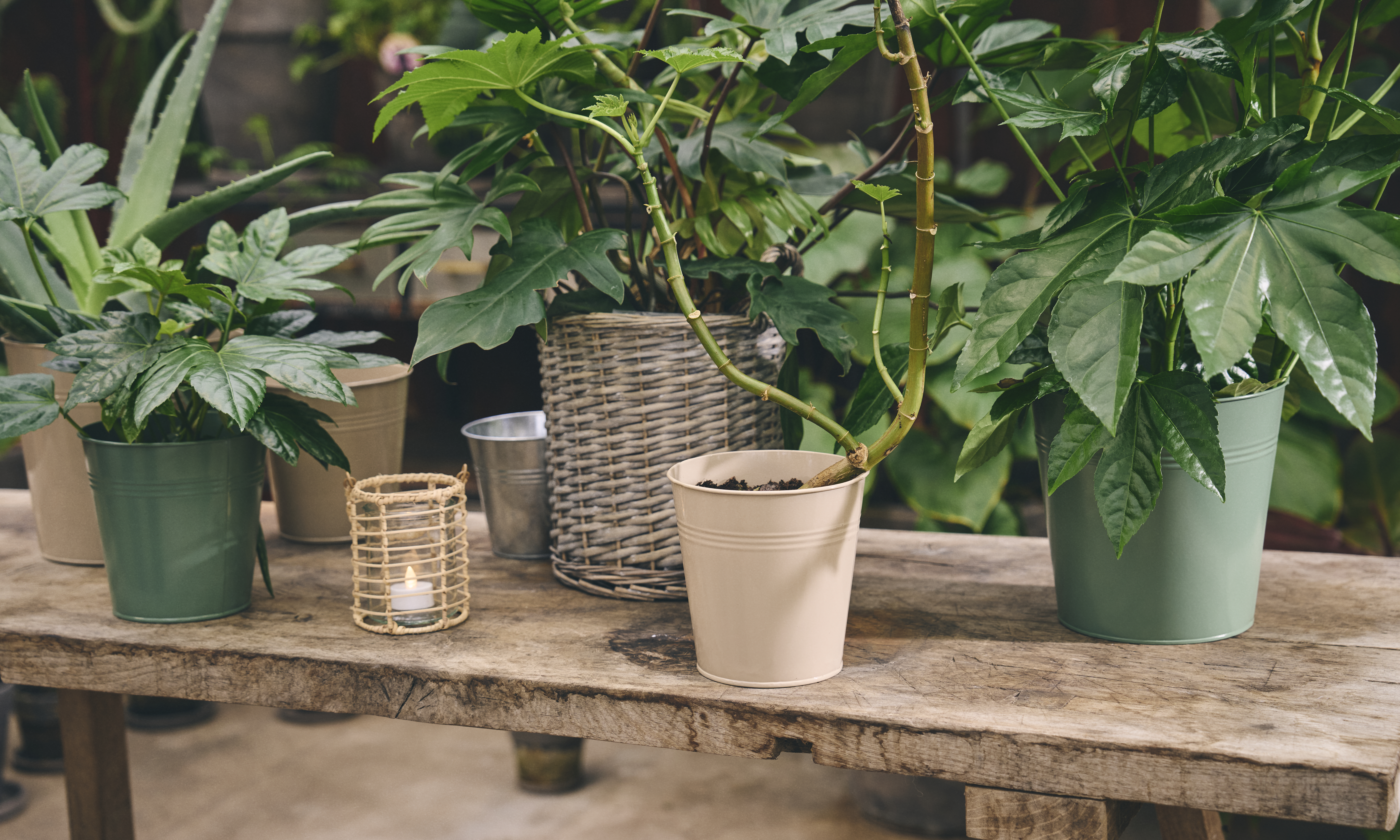 Available From 19 March 2026 Outdoor Living Sostrene Grene (55)