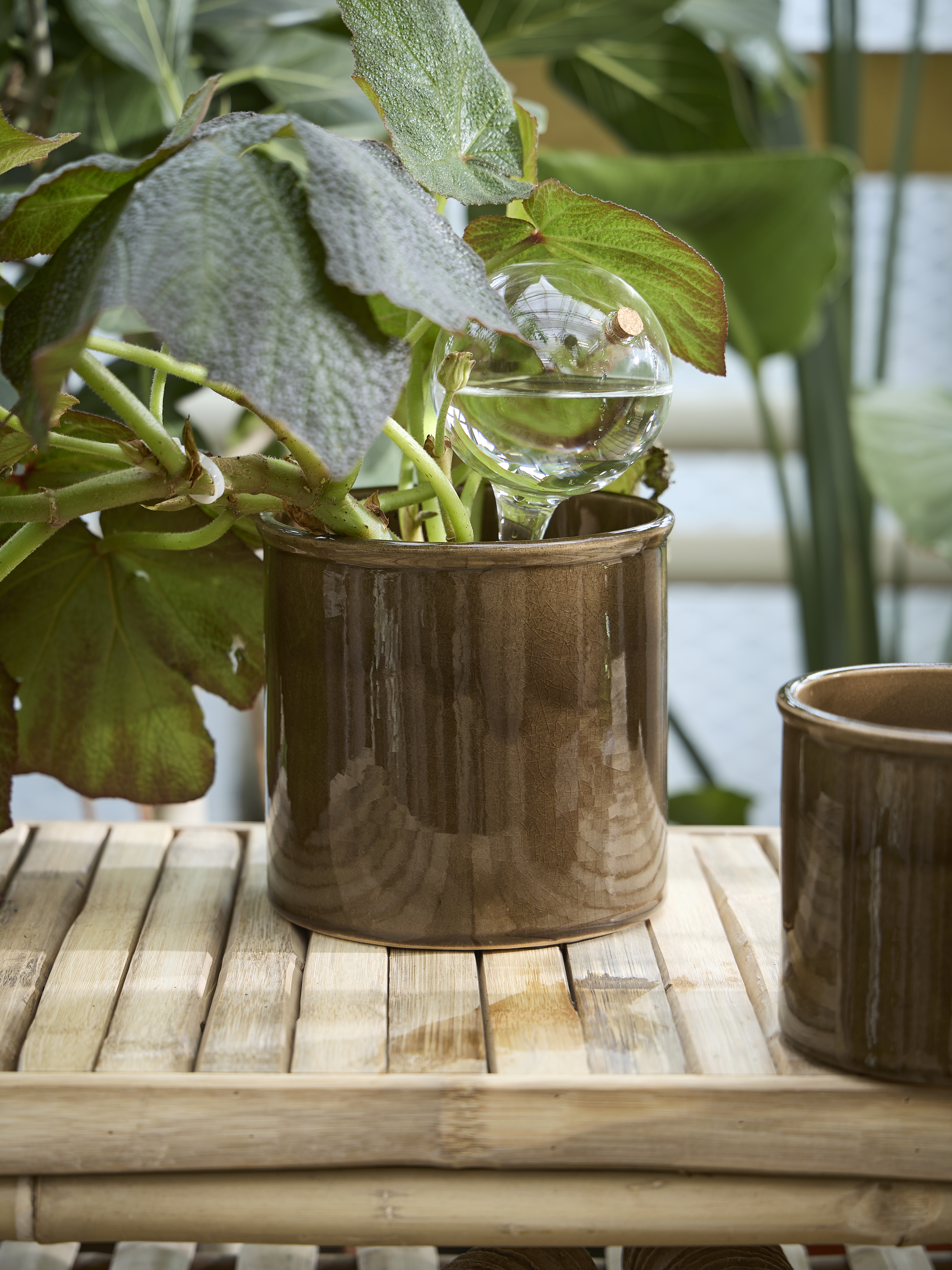 Available From 5 March 2026 Spring Preparations Sostrene Grene (5)