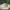 A Softer Reality Available From 27 August 2026 (27)