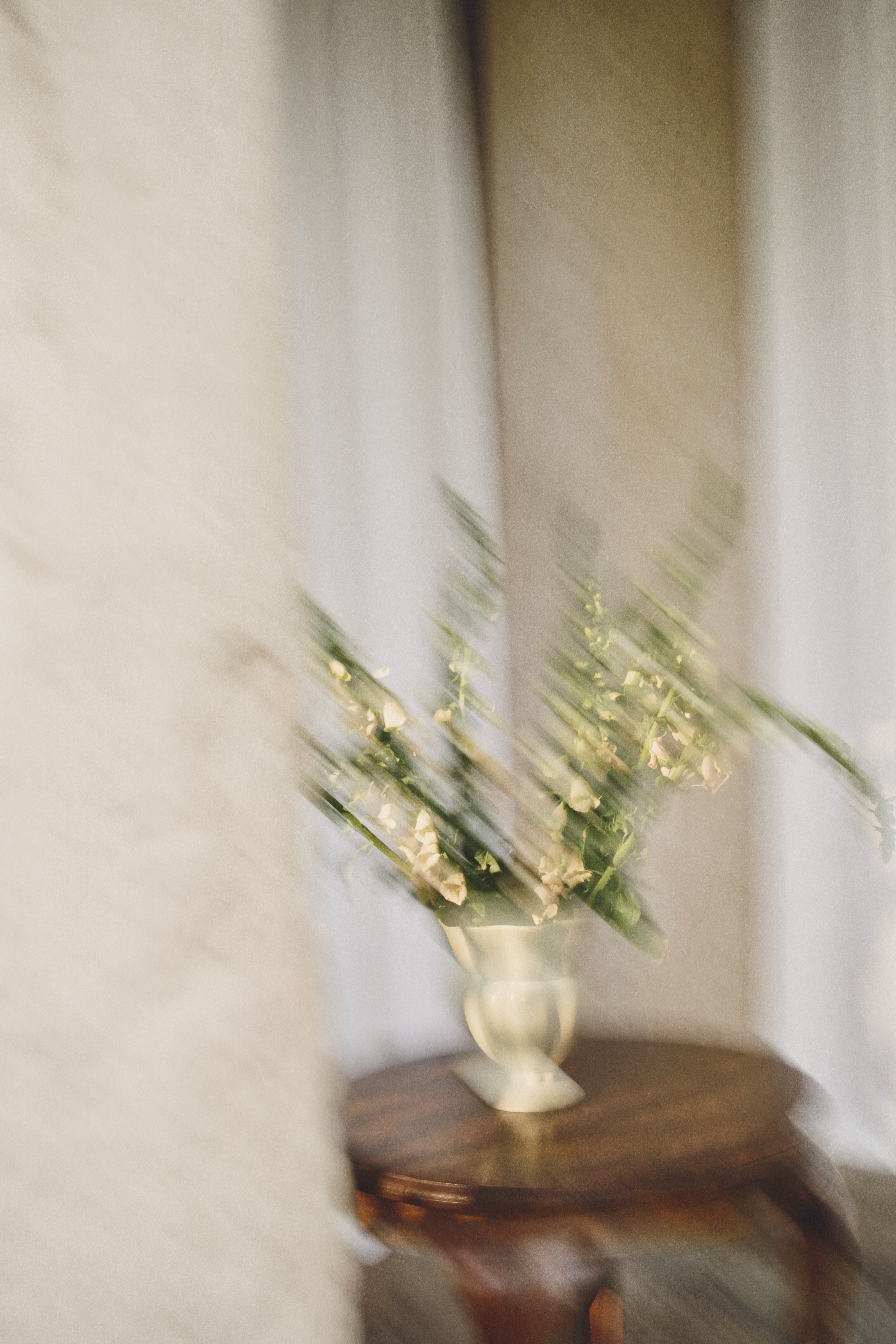 A Softer Reality Available From 27 August 2026 (51)