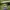 Decorative Flowerpot Birdbath 3