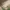 A Softer Reality Available From 27 August 2026 (104)