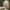 A Softer Reality Available From 27 August 2026 (37)