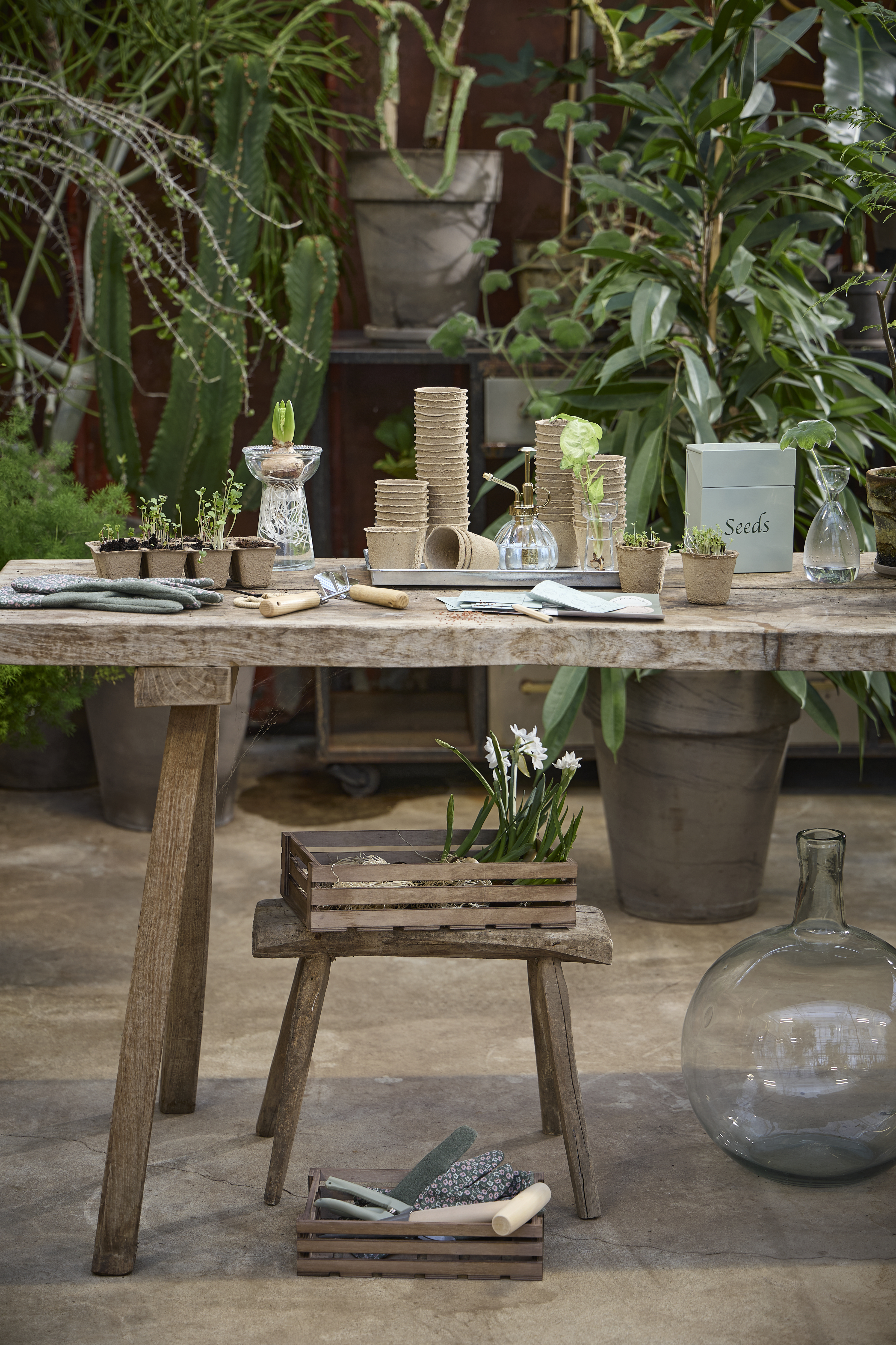 Available From 5 March 2026 Spring Preparations Sostrene Grene (2)