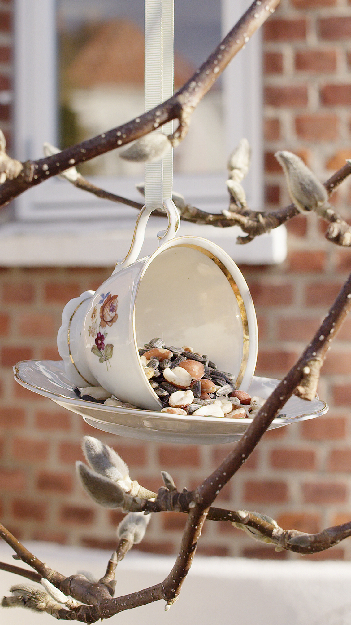 Bird Feed In A Cup (3)