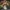 A Softer Reality Available From 27 August 2026 (26)