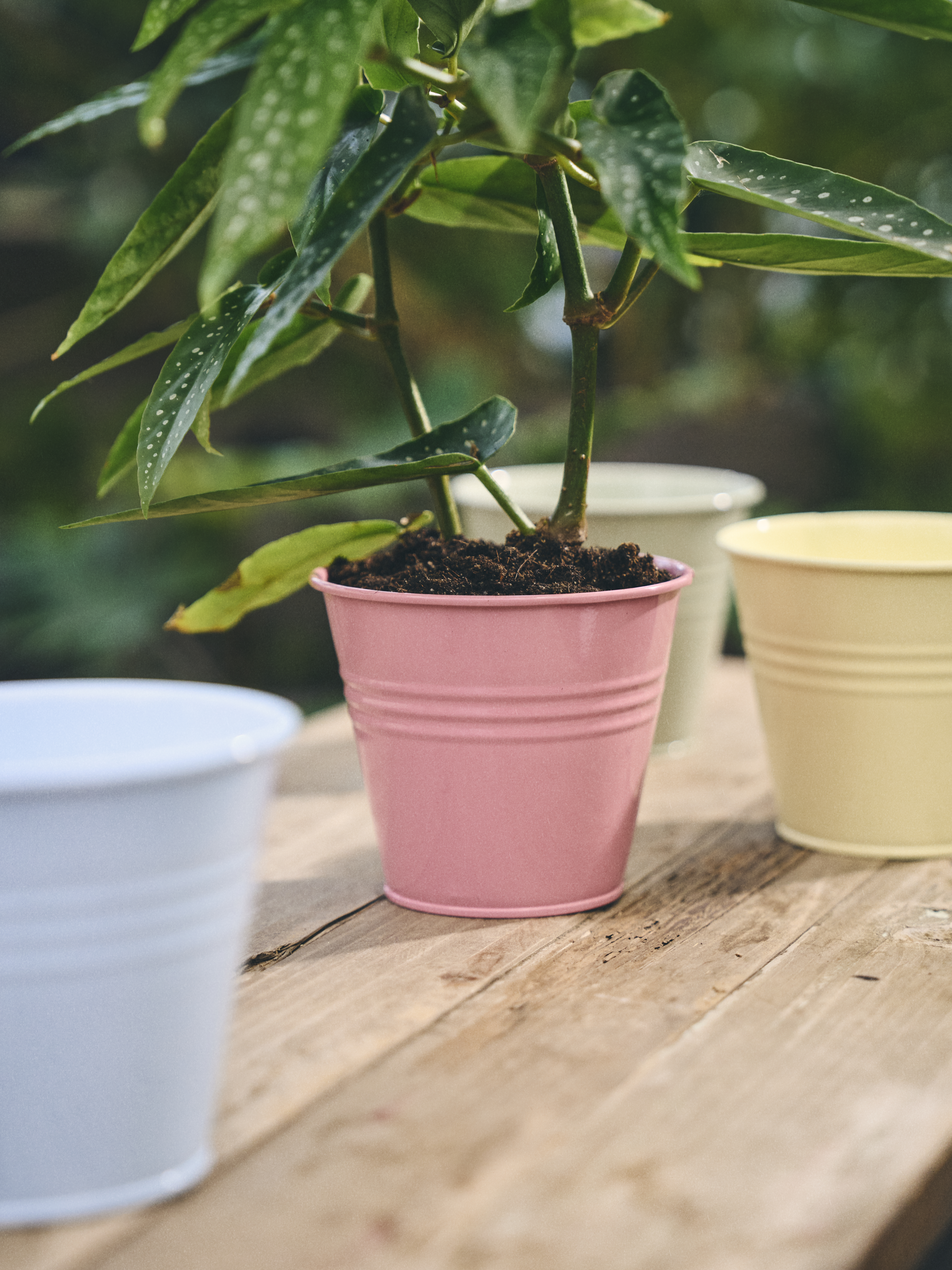 Available From 19 March 2026 Outdoor Living Sostrene Grene (28)