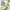 New Artificial Flowers Sostrene Grene Available From 31 July 2025 (18)