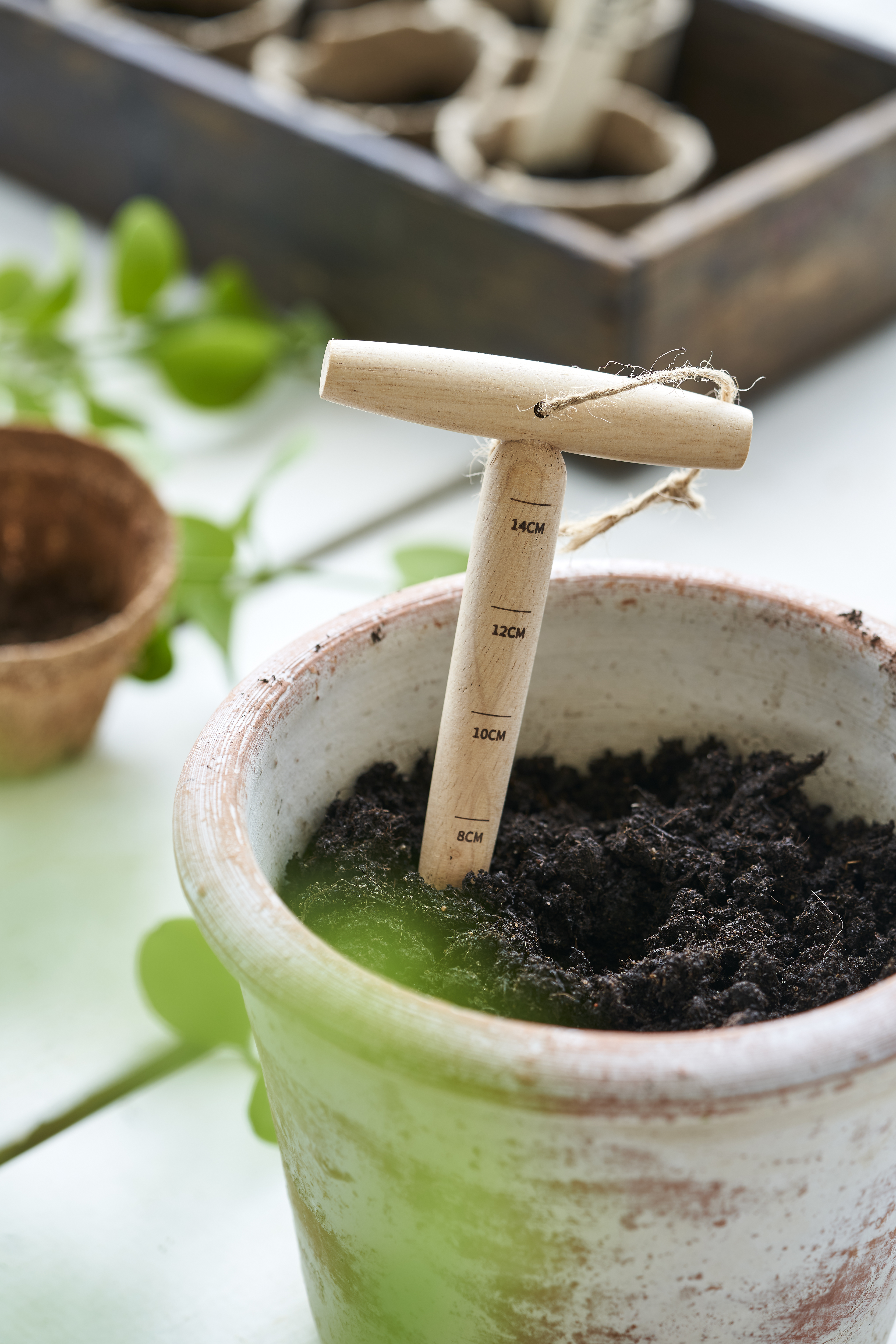 Guide For Pre Sprouting (4)