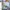 Sostrene Grene Marketing Images (31)
