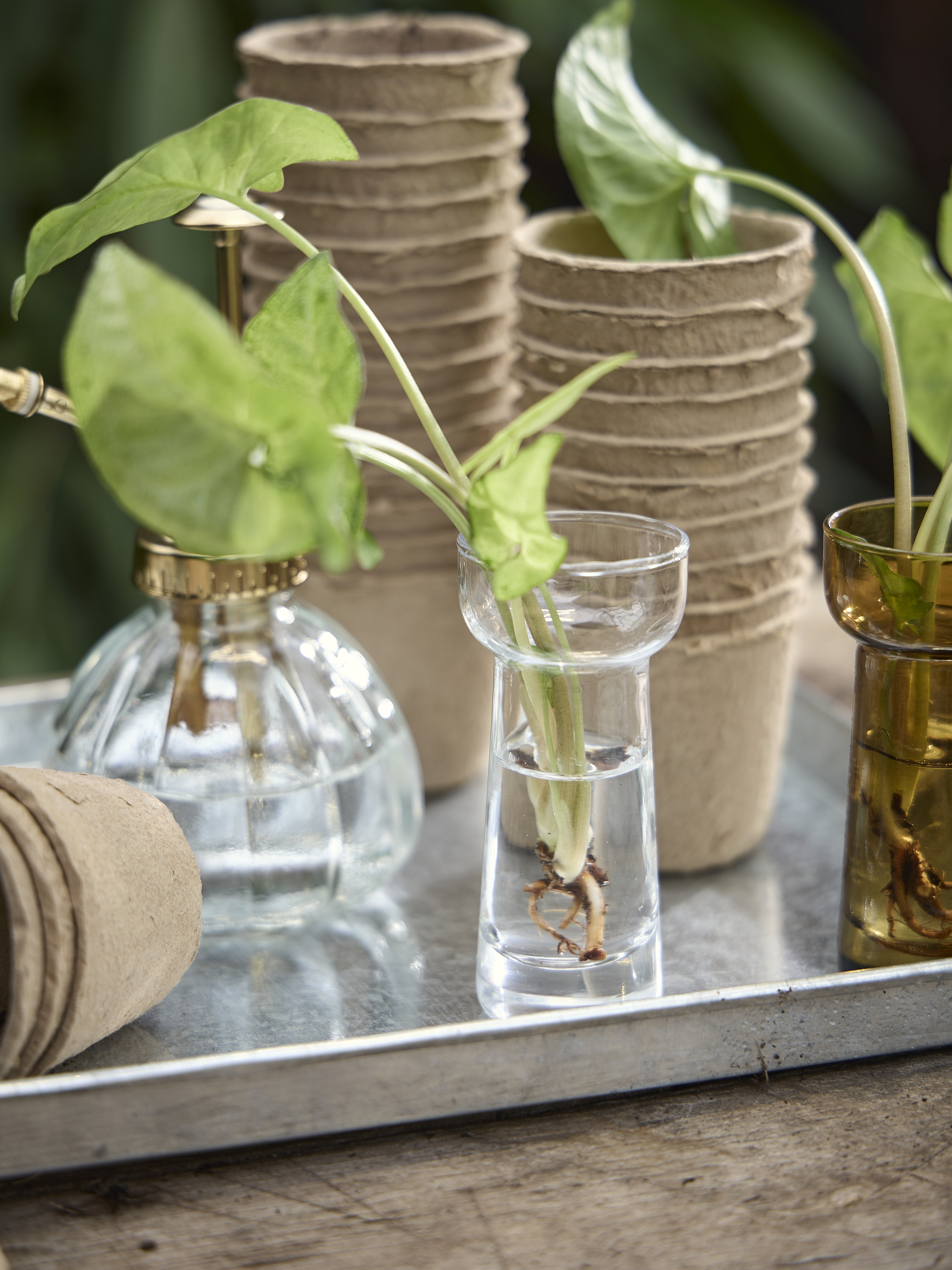 Spring Preparations Sostrene Grene Available From 5 March 2026 (18)