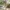 A Softer Reality Available From 27 August 2026 (34)