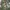 Sostrene Grene Christmas Preview Available From October 2025 (48)