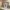 A Softer Reality Available From 27 August 2026 (109)