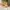 A Softer Reality Available From 27 August 2026 (22)