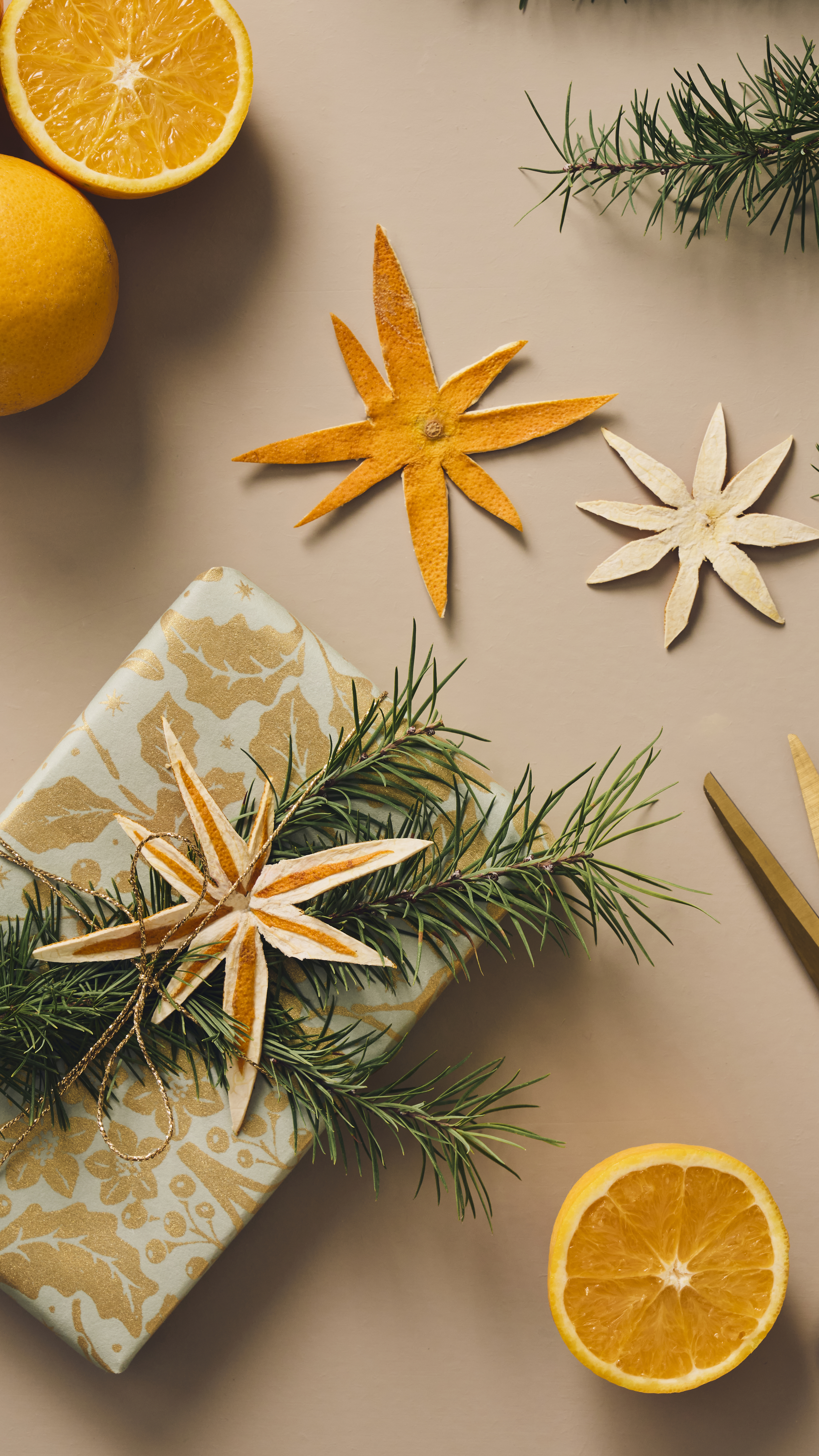 Dried Orange Decorations (1)
