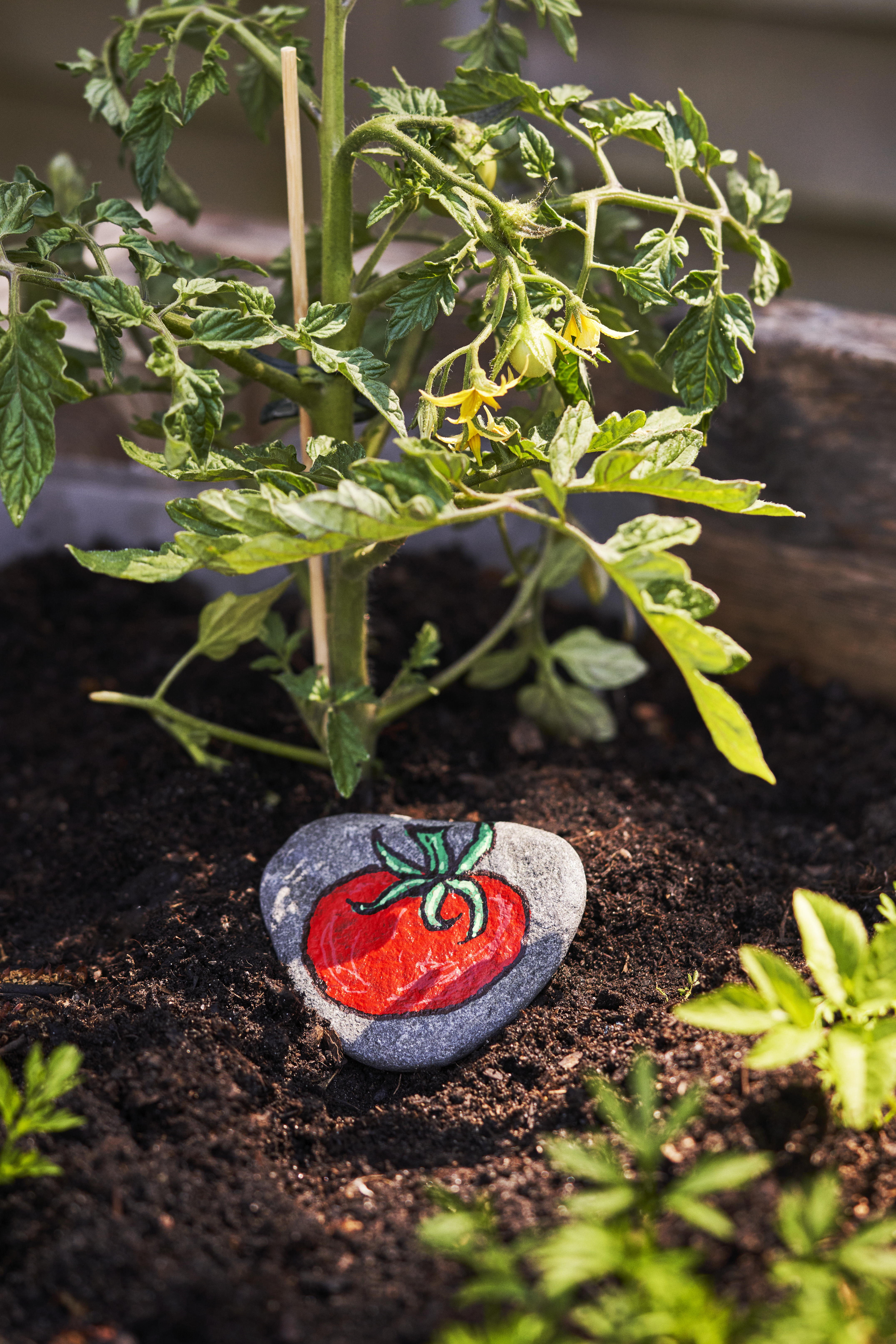 Enchanting Children's Dens In The Garden (5)