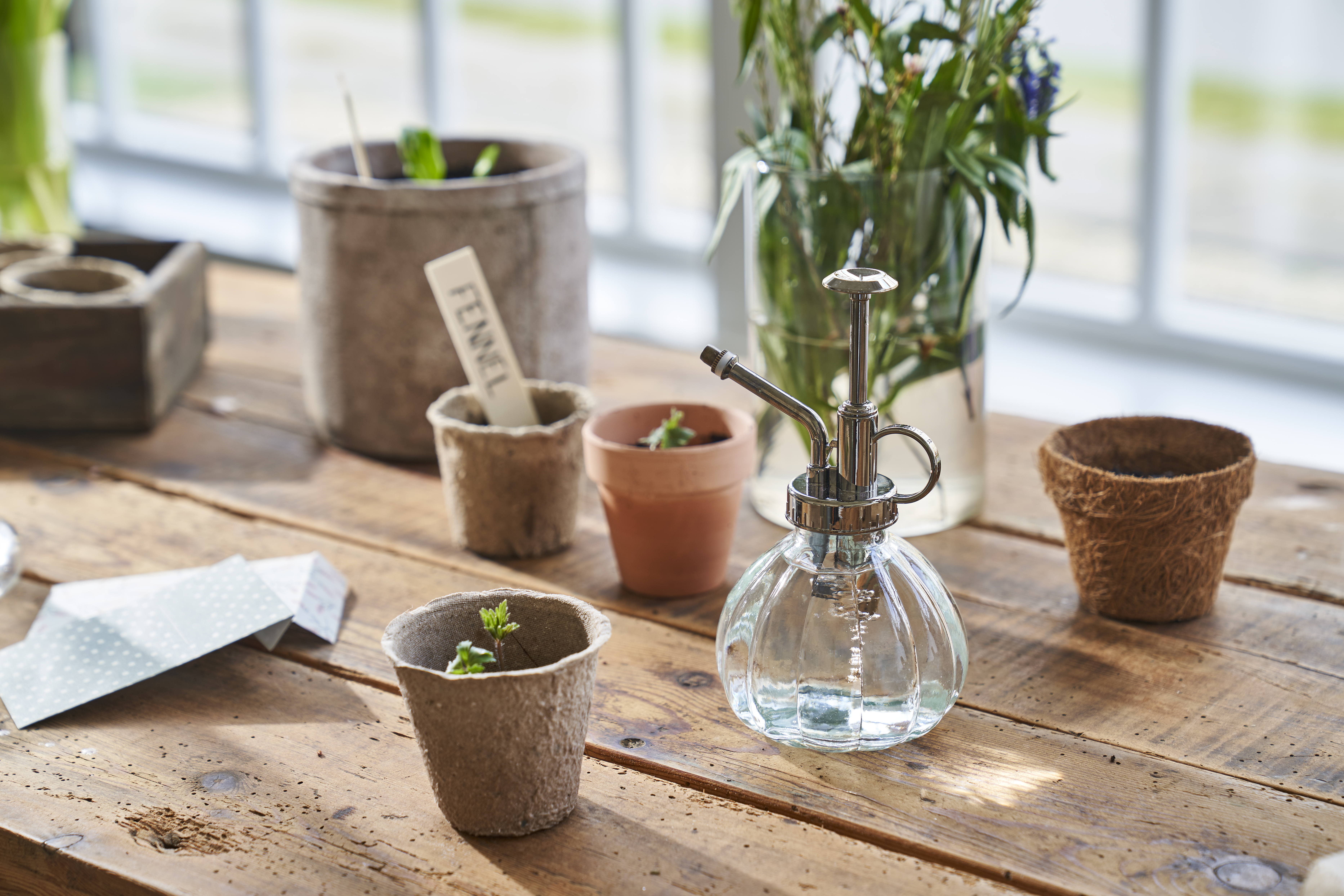 Guide For Pre Sprouting (1)