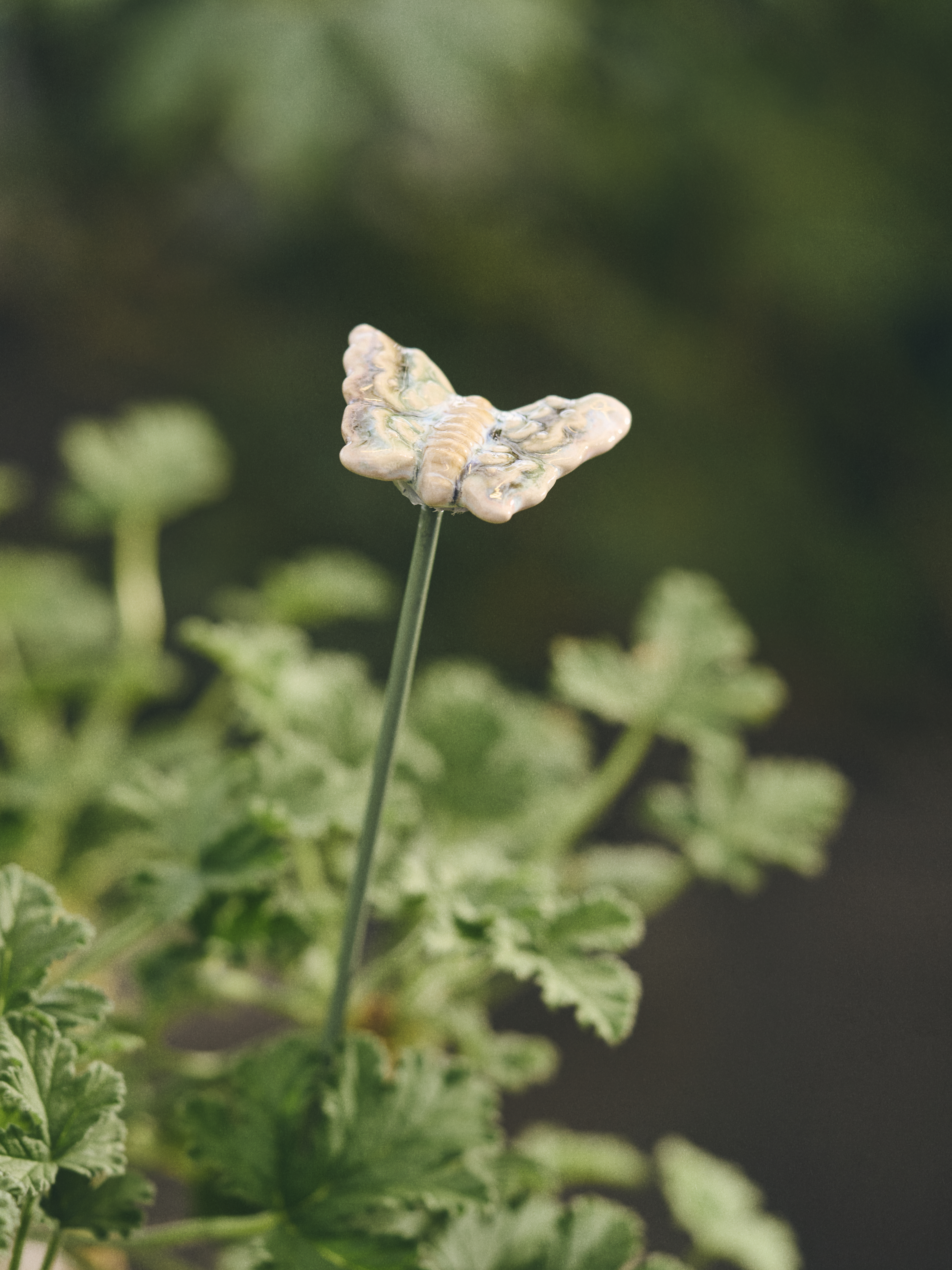 Available From 19 March 2026 Outdoor Living Sostrene Grene (18)