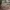 Sostrene Grene Christmas Preview Available From October 2026 (21)