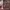 Sostrene Grene Christmas Preview Available From October 2025 (41)