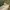 A Softer Reality Available From 27 August 2026 (96)