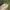 A Softer Reality Available From 27 August 2026 (95)