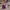 Christmas Table Sostrene Grene Available 6 November 2025 (25)