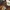A Softer Reality Available From 27 August 2026 (46)