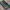Christmas Table Sostrene Grene Available 6 November 2025 (22)