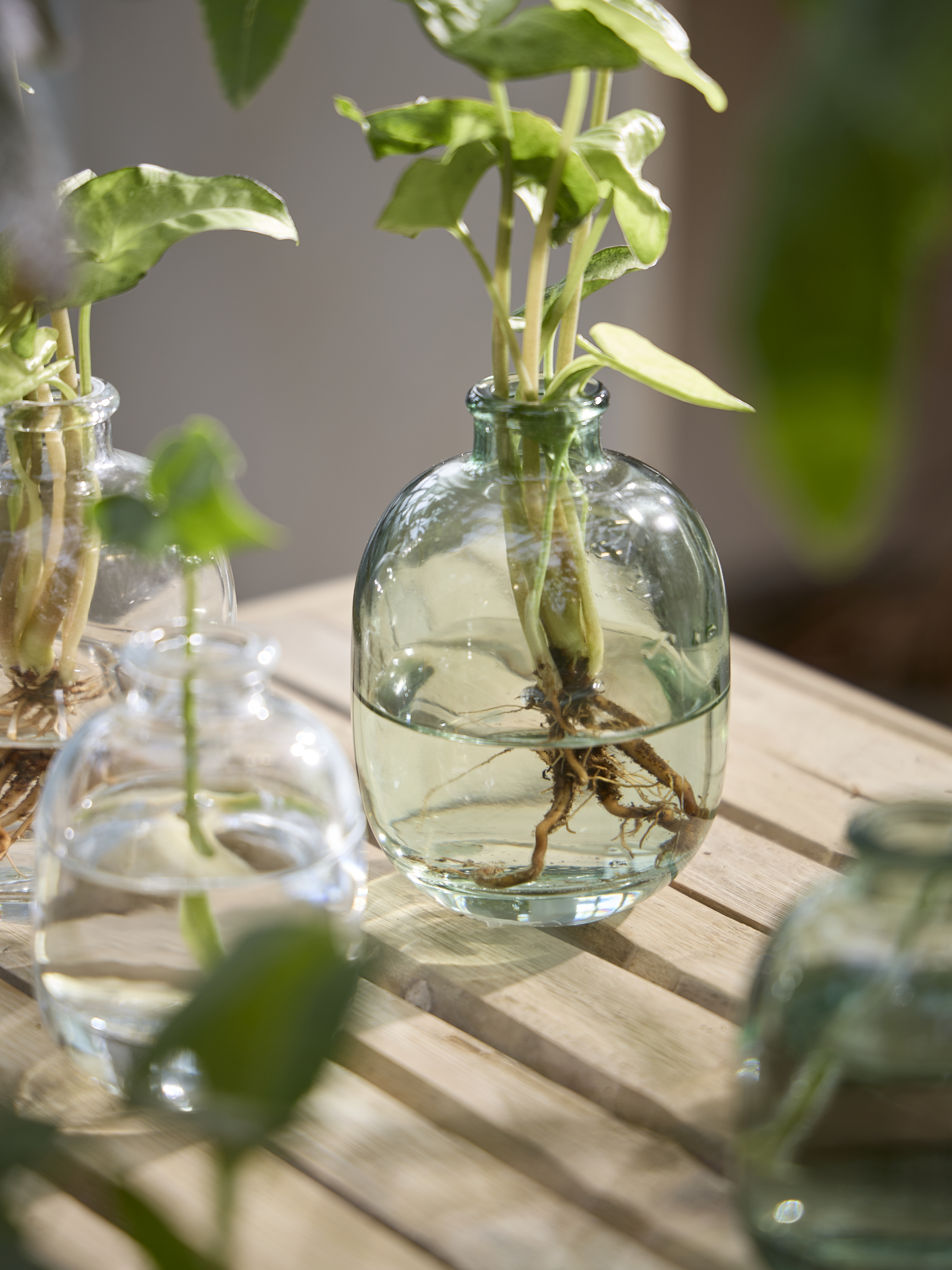 Spring Preparations Sostrene Grene Available From 5 March 2026 (50)