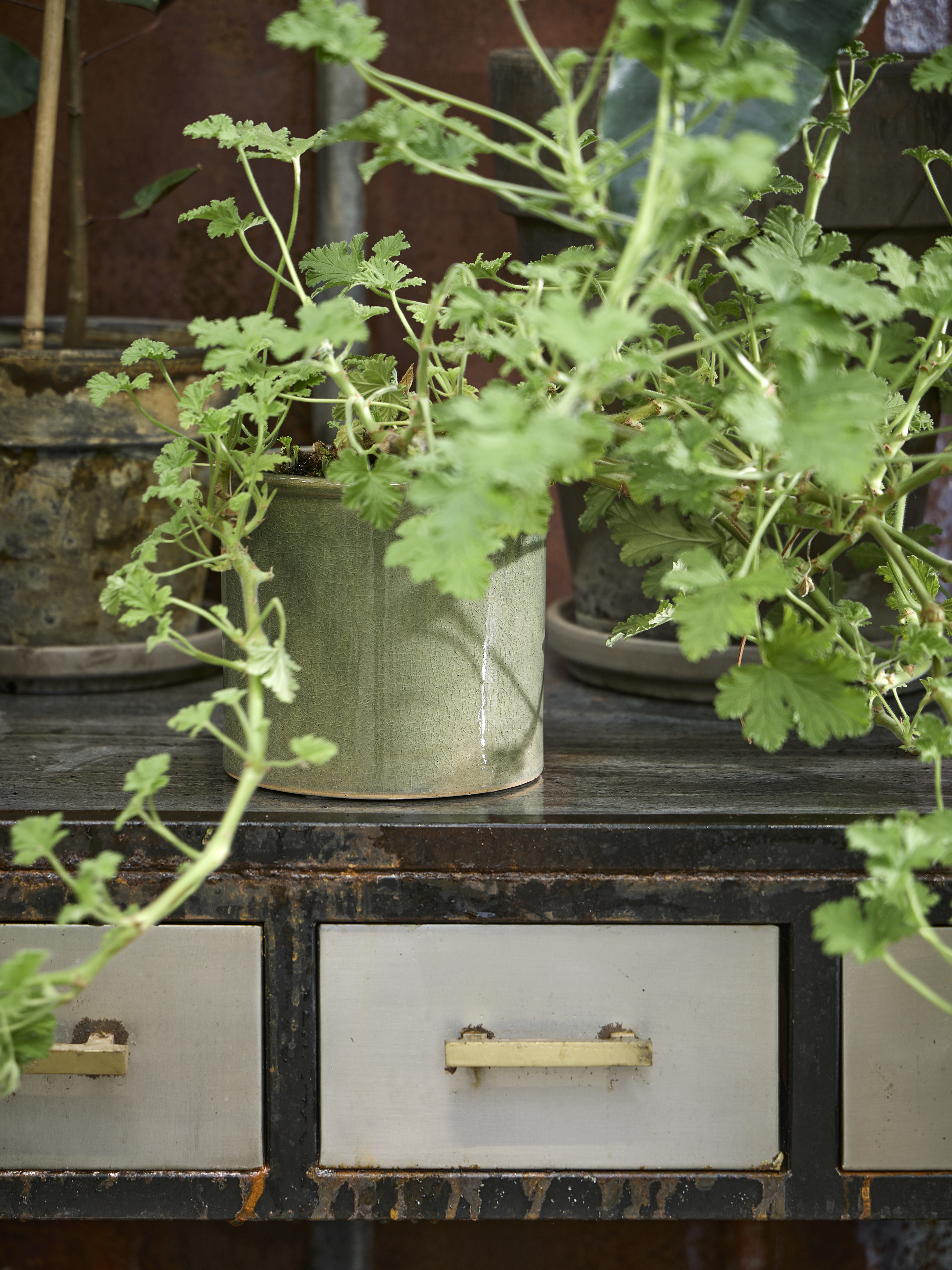 Spring Preparations Sostrene Grene Available From 26 February 2026 (7)