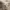 A Softer Reality Available From 27 August 2026 (121)