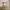 A Softer Reality Available From 27 August 2026 (53)