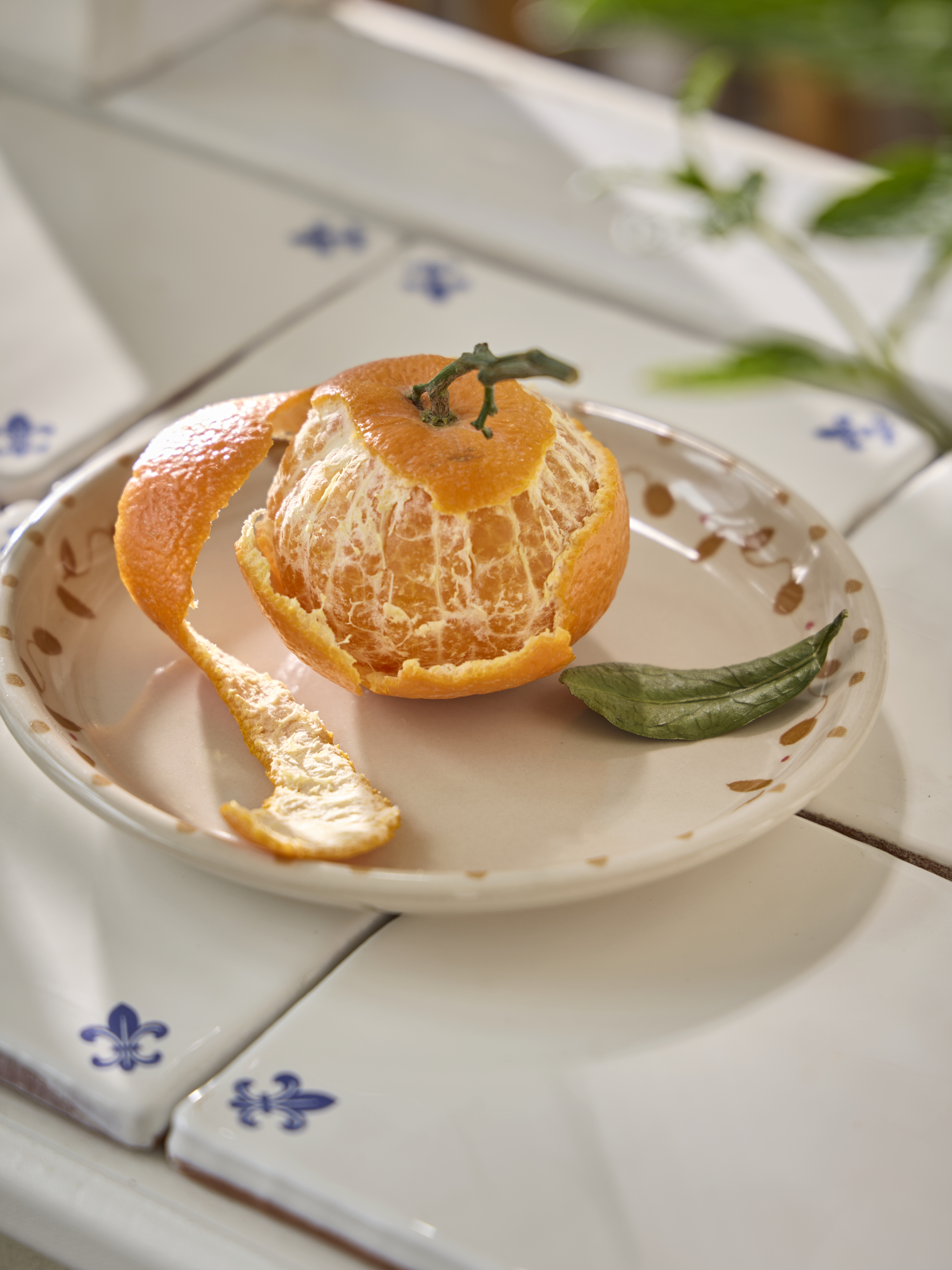 Summer Table Sostrene Grene Available From 14 May (37)