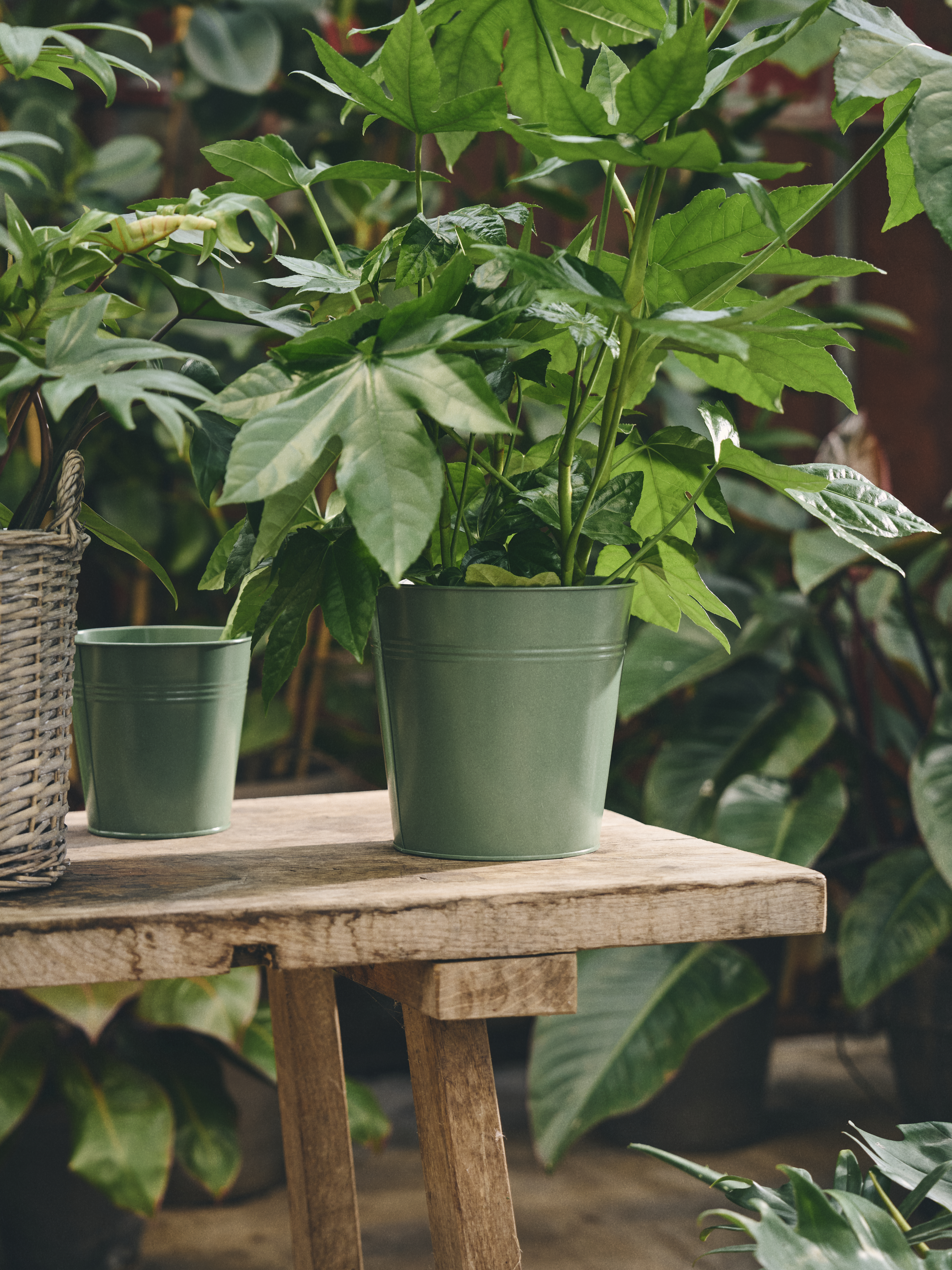 Available From 19 March 2026 Outdoor Living Sostrene Grene (61)