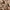 Sostrene Grene Marketing Images (24)