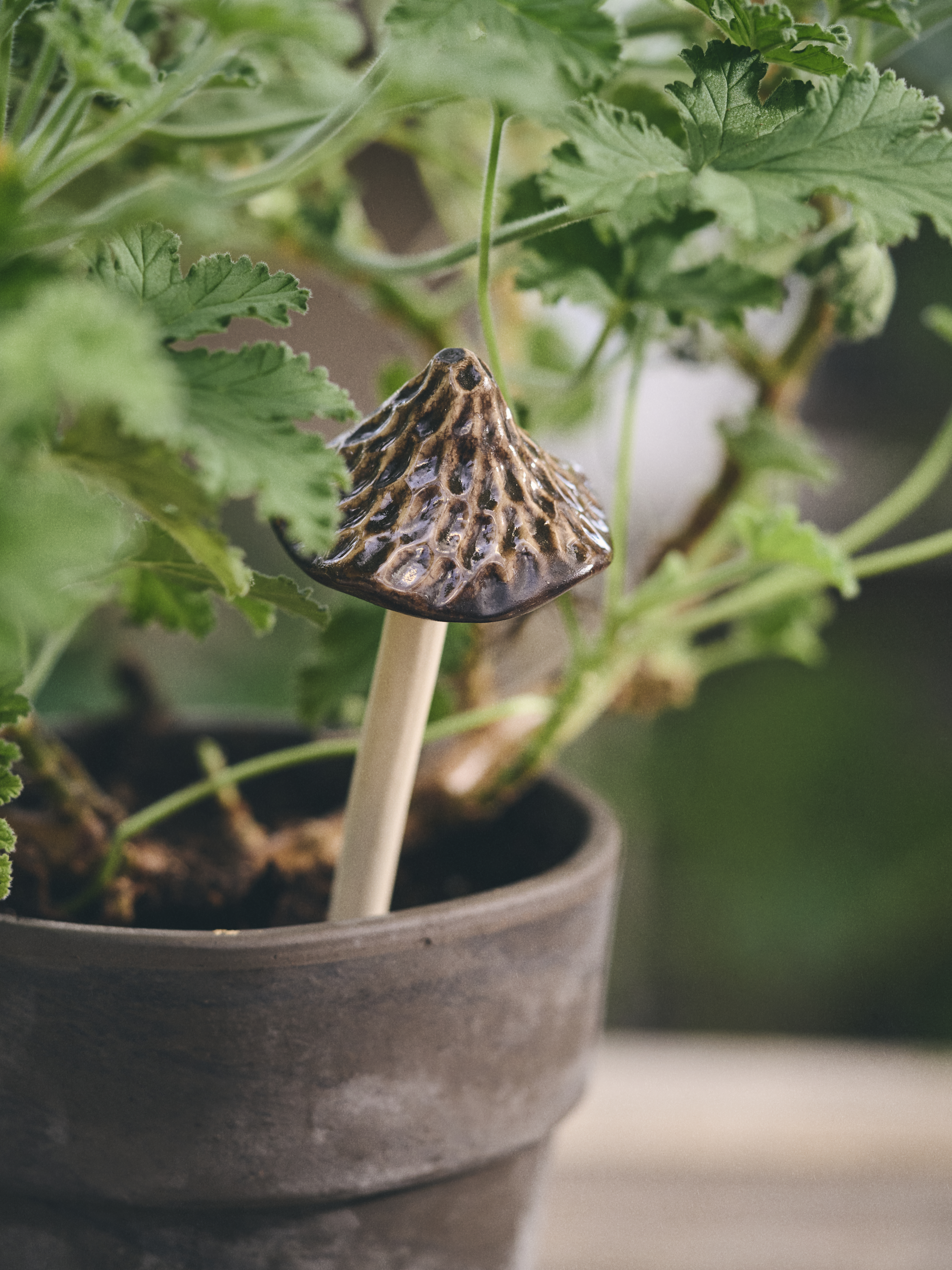 Available From 19 March 2026 Outdoor Living Sostrene Grene (19)