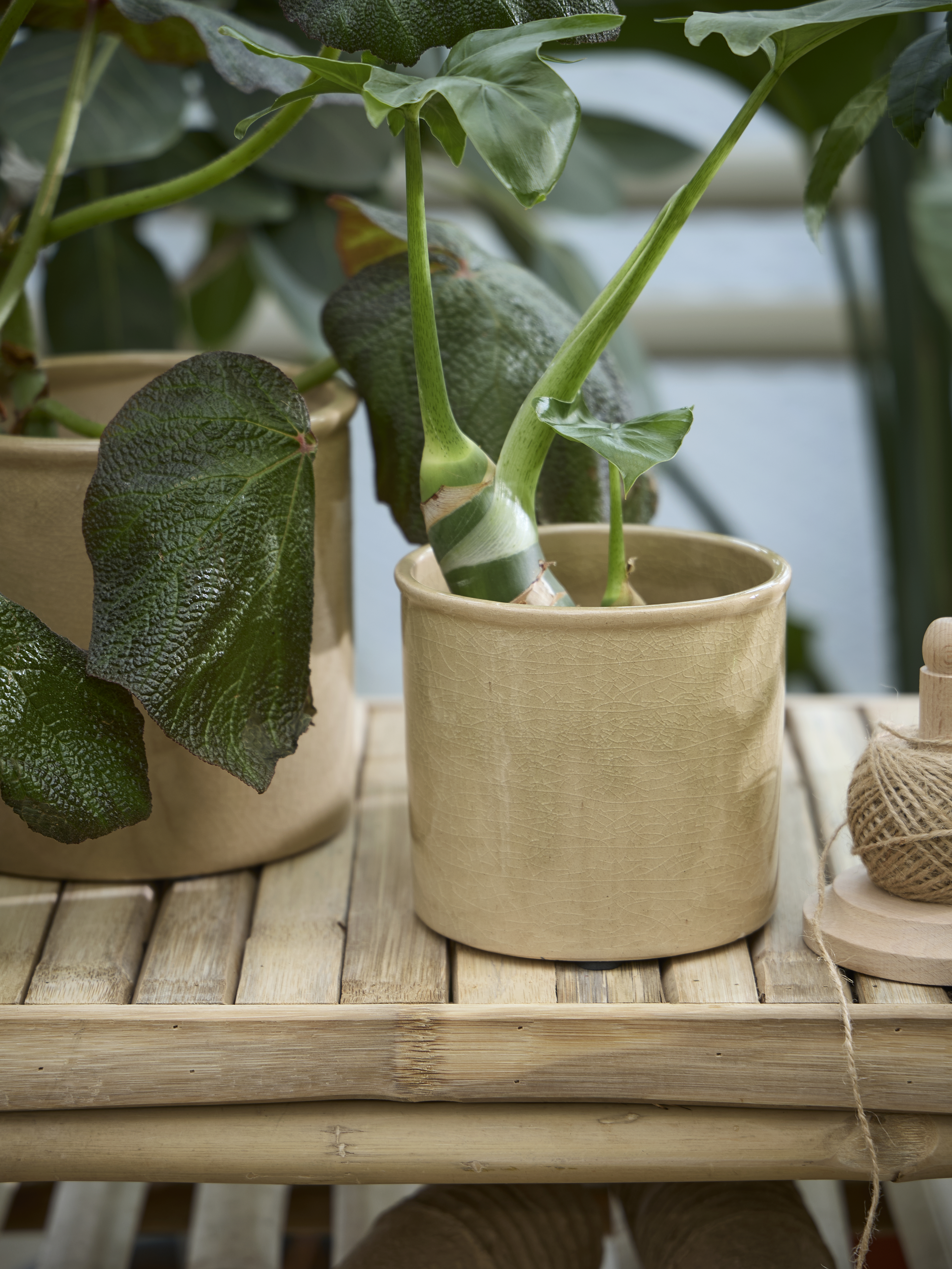 Available From 5 March 2026 Spring Preparations Sostrene Grene (10)