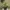 A Softer Reality Available From 27 August 2026 (79)