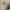 A Softer Reality Available From 27 August 2026 (137)