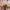 Sostrene Grene Marketing Images (23)