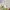 New Artificial Flowers Sostrene Grene Available From 31 July 2025 (19)