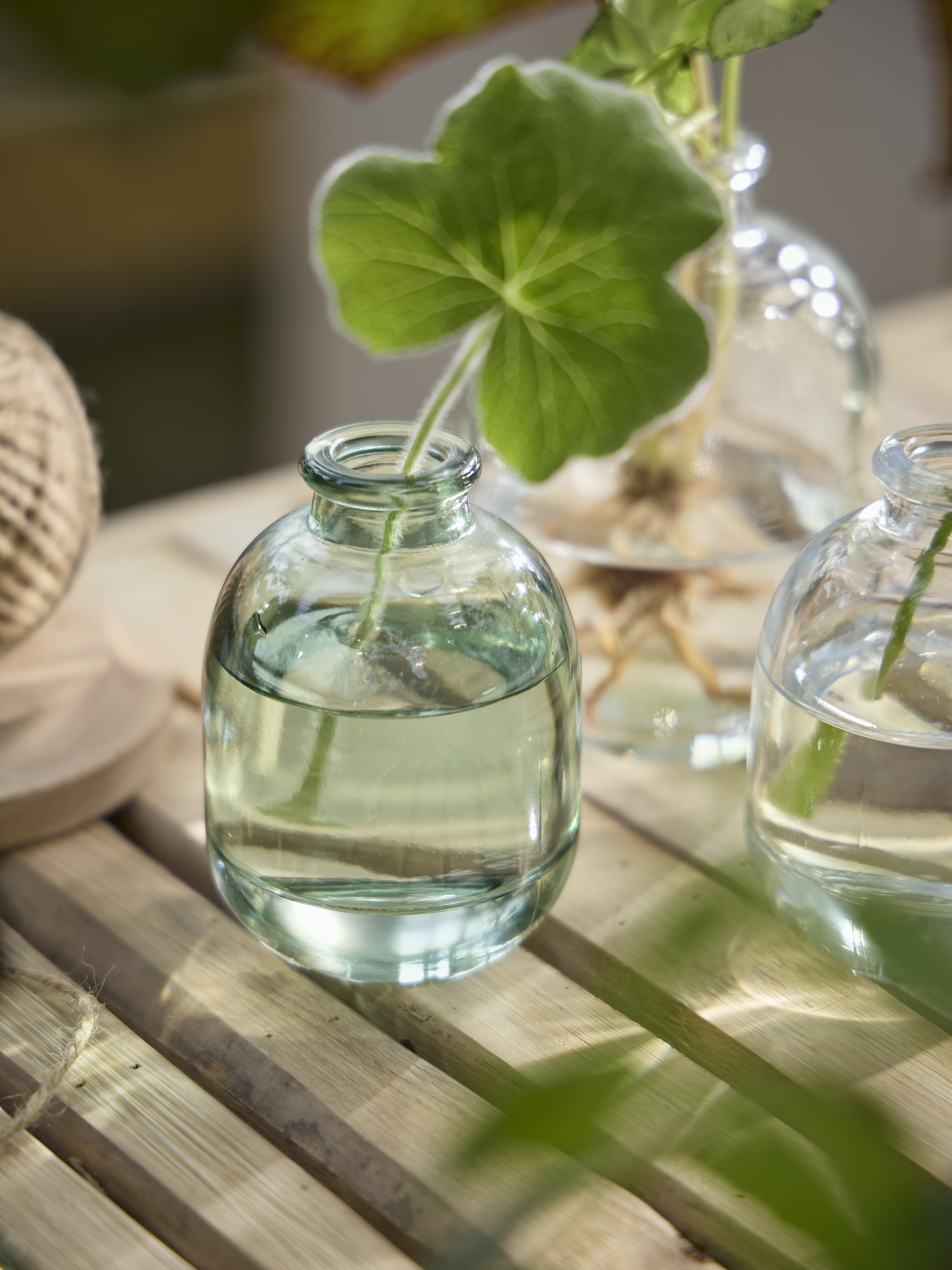 Spring Preparations Sostrene Grene Available From 26 February 2026 (47)