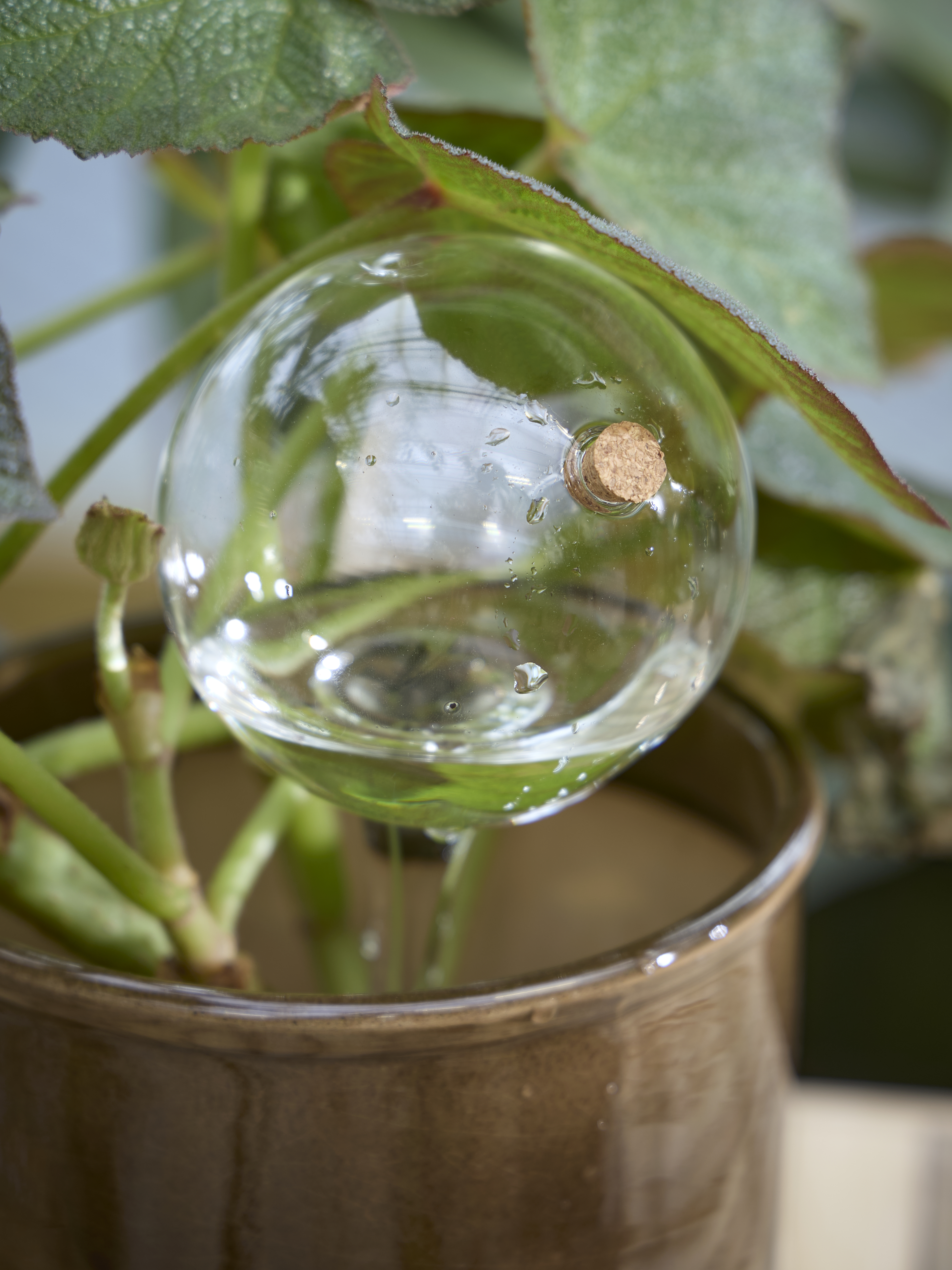 Spring Preparations Sostrene Grene Available From 26 February 2026 (12)