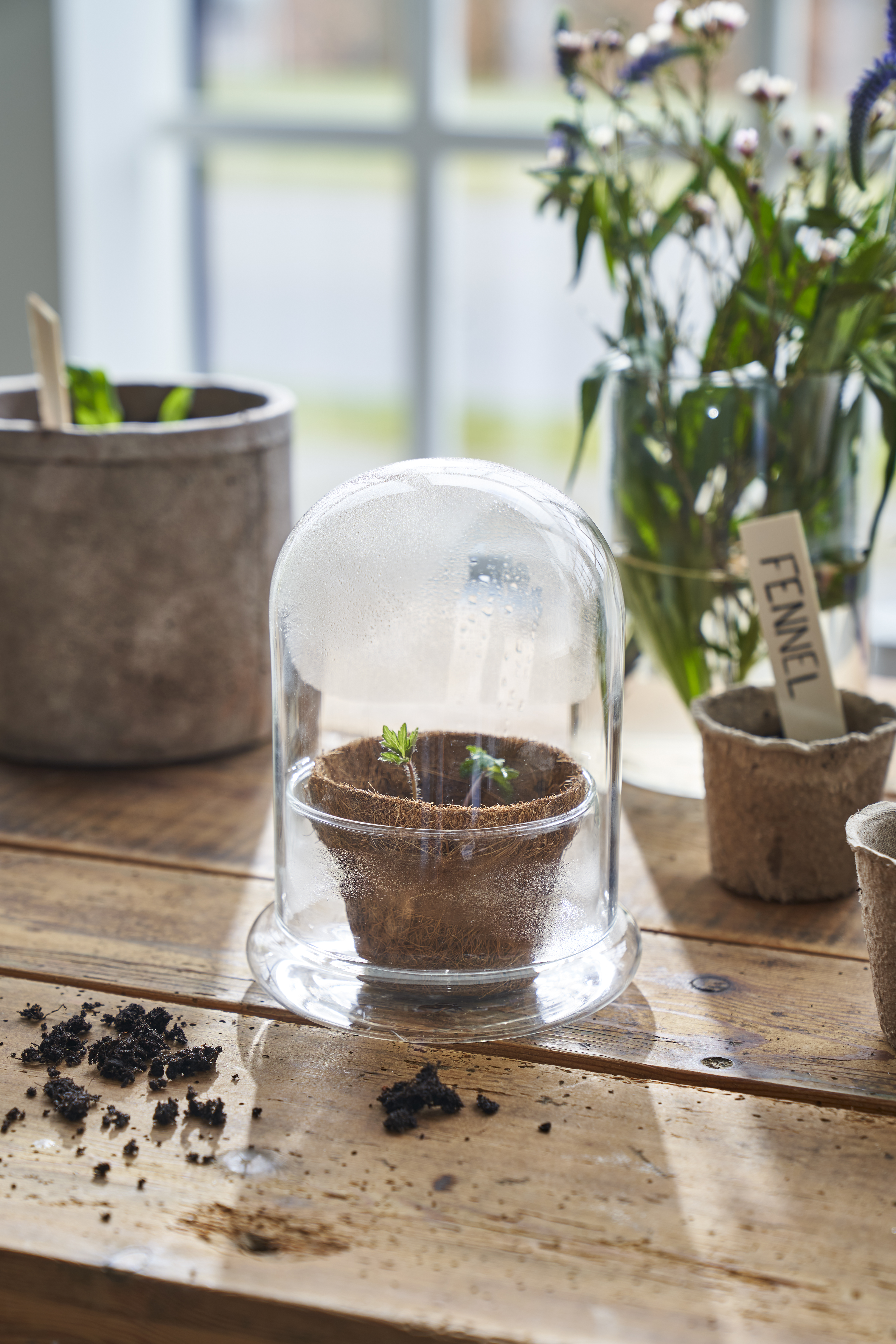 Guide For Pre Sprouting (2)